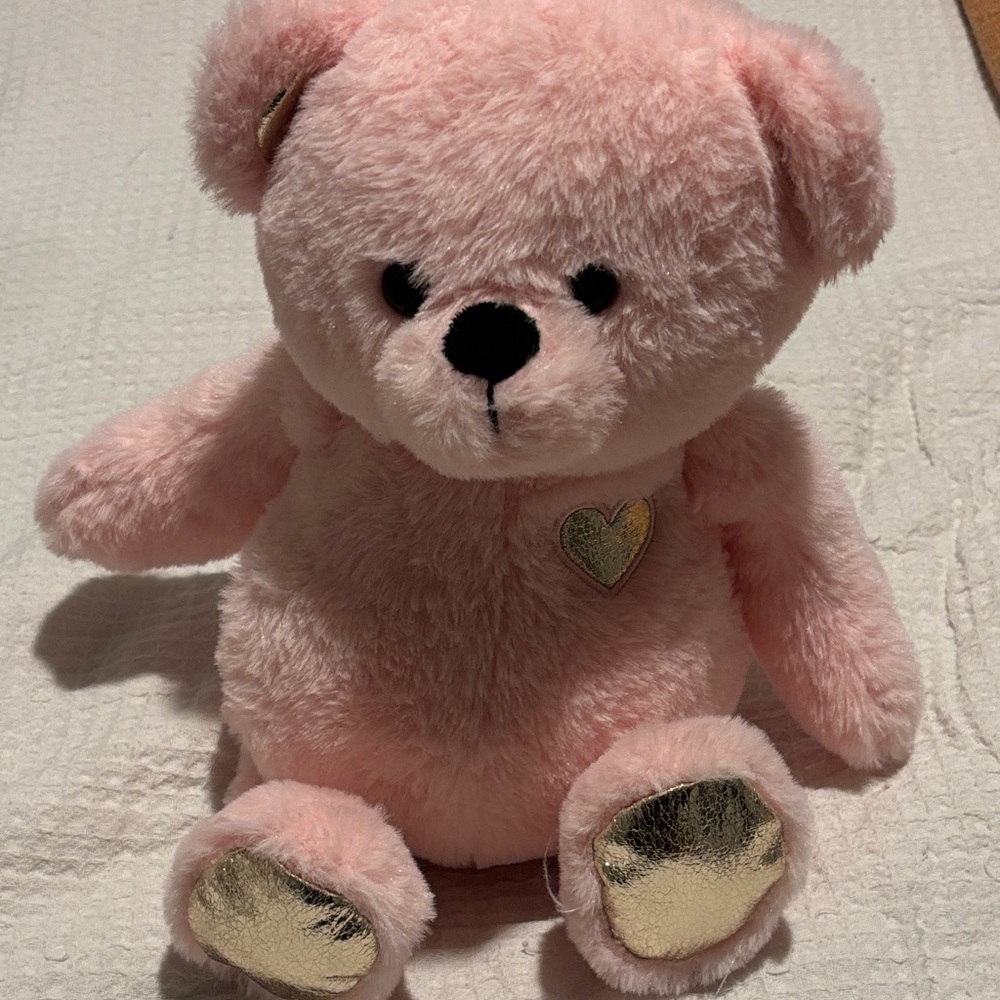 Pink Valentine’s Day Plush Teddy Bear